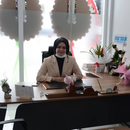 Elif Akgün Y... Hakkında Bilgi